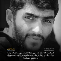 شهید محمودرضا بیضایی